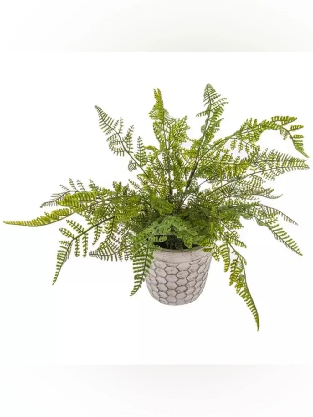 Faux Fern